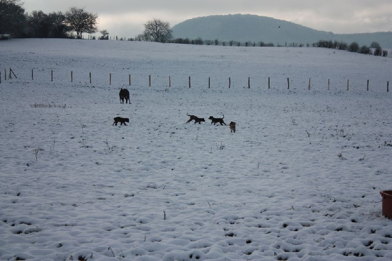 Découverte de la neige